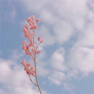 双赢彩票手机app下载截图