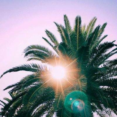 金沙澳门场娱网址