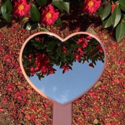 幸运彩票app官方版下载