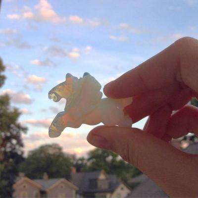 澳门第一娱乐娱城官网