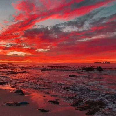 上下分的捕鱼app下载手机版