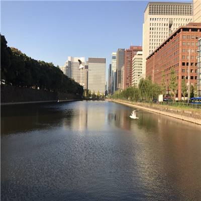 best365官网手机版下载手机版