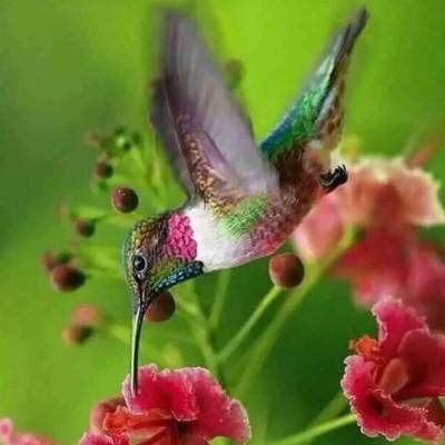 美高梅mgm集团4688