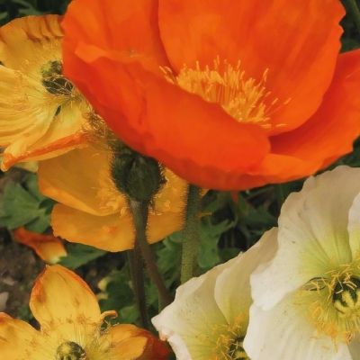 江南足球app下载手机版