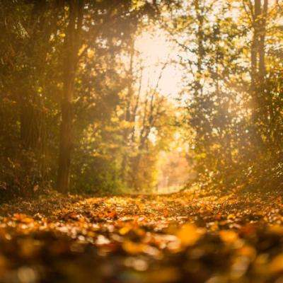 购彩中心welcome入口官方版下载手机版