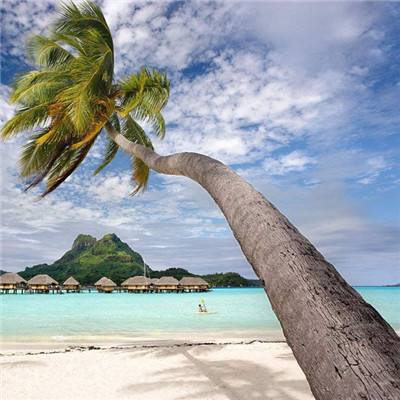 开云集团下载手机版