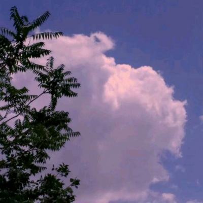 南宫体育app下载