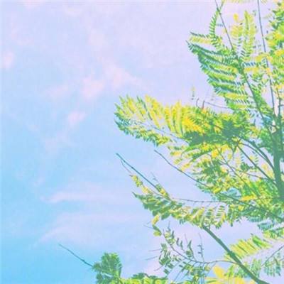 彩神8官网app下载