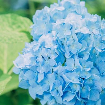 域网棋牌手机app下载