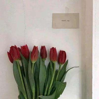 5848vip威尼斯电子游戏截图