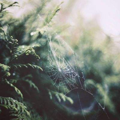 爱游戏·APP手机app下载