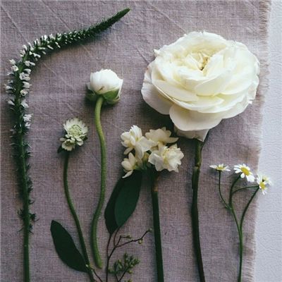 竞彩足球app官方手机app下载