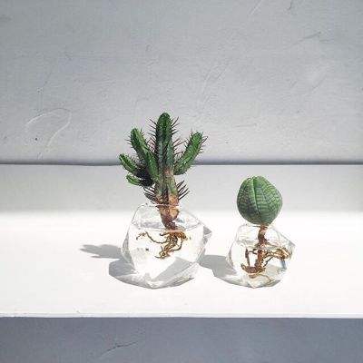 博鱼综合体育官网登录