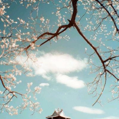 开云集团下载手机版