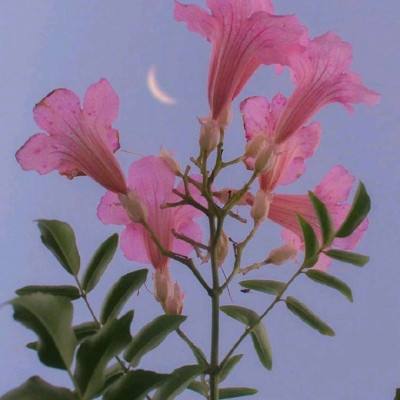 jn江南体育下载