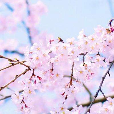 博鱼综合体育官网登录