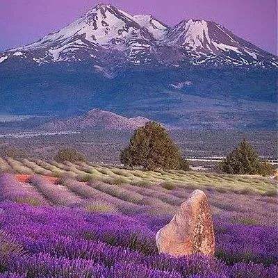 开元棋棋牌388ccvod官网版