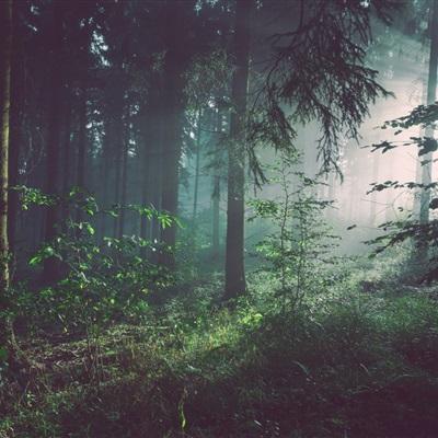 足球滚球的正规平台appapp下载