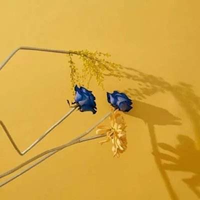 Kaiyun·开云体育下载手机版