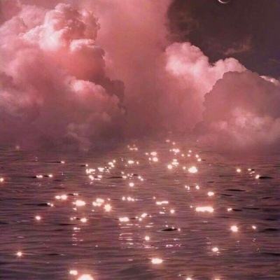 金会年彩票网止