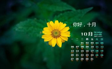 幼儿园中班10月工作总结5篇