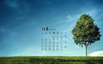 中班12月的工作计划8篇