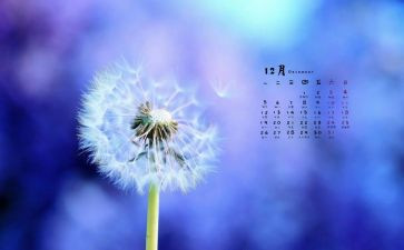 12月安全生产工作计划6篇
