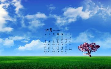 12月份销售工作总结6篇