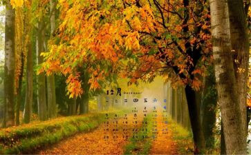 12月物业工作总结5篇