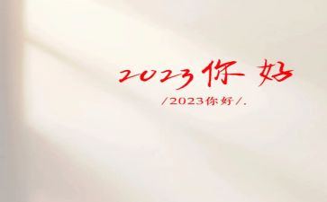 2023村居综治工作总结6篇