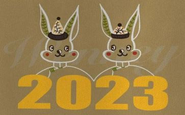 内勤2023个人年度总结6篇