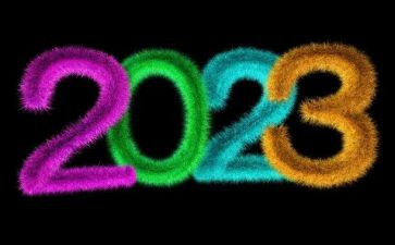 2023年单位个人年终总结6篇