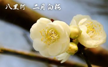 幼儿园大班2月份工作总结7篇