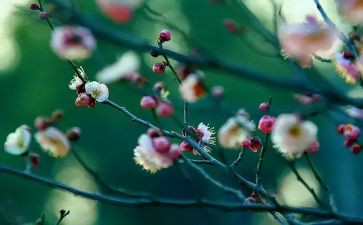 2月销售工作总结优质8篇