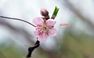 2月销售工作总结6篇