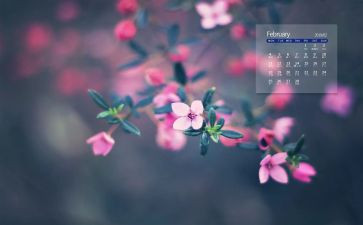 中班2月工作计划8篇