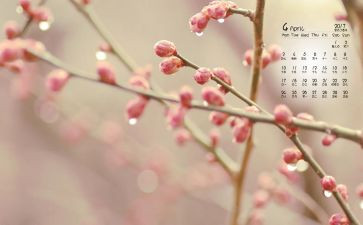 幼儿园小班4月工作计划8篇
