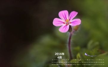 幼儿园4月工作计划精选8篇
