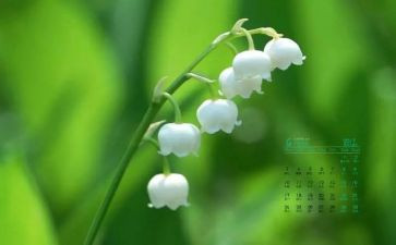 幼儿园4月活动方案5篇