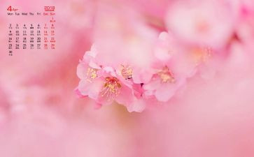 4月份班主任工作总结8篇