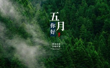 个人5月份工作计划5篇