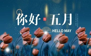 5月份教师工作总结优质5篇