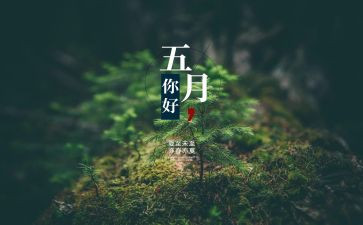 5月个人工作计划精选5篇