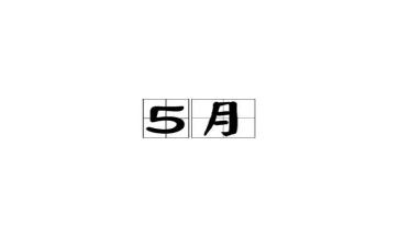 个人工作总结5月度范文6篇
