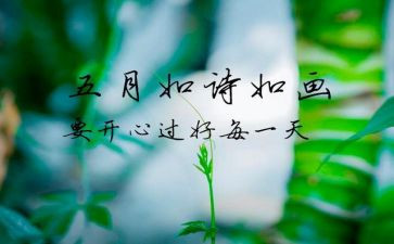 5月份工作计划5篇