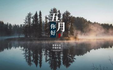 5月份教师工作总结6篇
