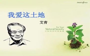 艾青诗选的树的读后感优秀7篇