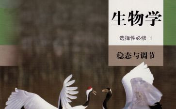 生物老师工作总结8篇