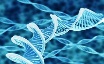 2023七上生物工作计划通用8篇