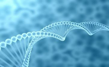 生物高二下学期工作计划7篇